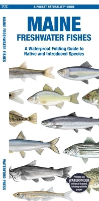 Maine Freshwater Fishes Paperback Waterford Press