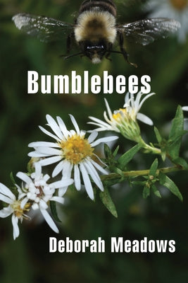 Paperback book titled "Bumblebees" by Roof Books, featuring a colorful cover illustration of bumblebees on the front.