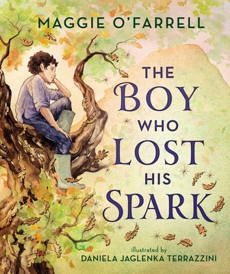 The Boy Who Lost His Spark Paperback Walker Books Us