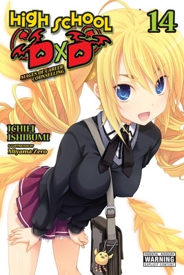 Paperback of High School DXD Volume 14 light novel by Yen on, featuring the book's cover with colorful artwork.