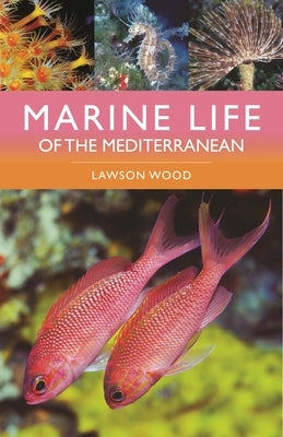 Marine Life of the Mediterranean Paperback Bloomsbury Wildlife
