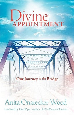 Divine Appointment Paperback Lucid Books