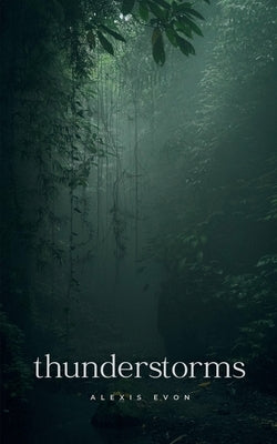 thunderstorms Paperback Bookleaf Publishing