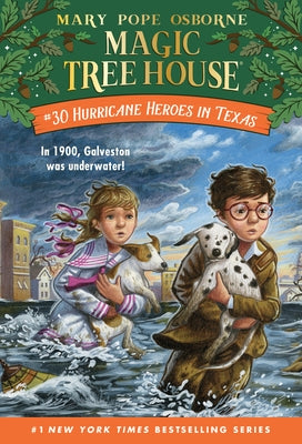 Hurricane Heroes in Texas Paperback Random House Books for Young Readers