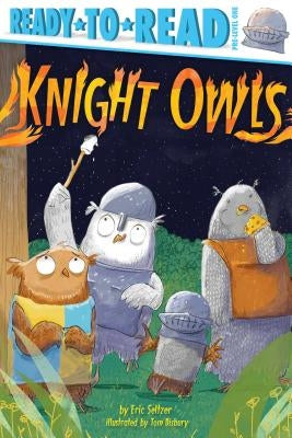 Paperback of Knight Owls: Ready-To-Read Pre-Level 1 by Simon Spotlight, featuring colorful owl illustrations on the cover.