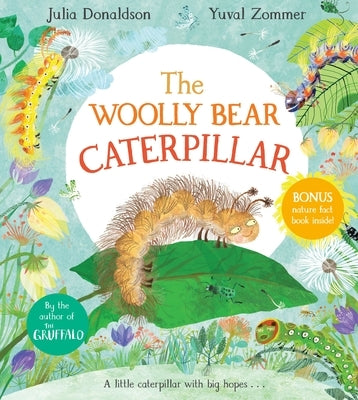 The Woolly Bear Caterpillar Paperback MacMillan Children's Books