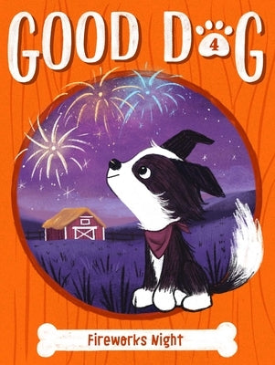 Fireworks Night Paperback Little Simon