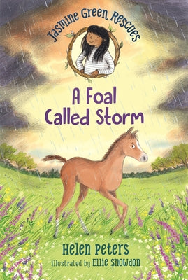 Jasmine Green Rescues: A Foal Called Storm by Peters, Helen