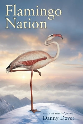 Flamingo Nation Paperback Onion River Press