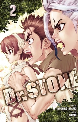 Paperback of Dr. Stone, Vol. 2: Two Kingdoms of the Stone World by Viz Media featuring colorful illustrated cover art.