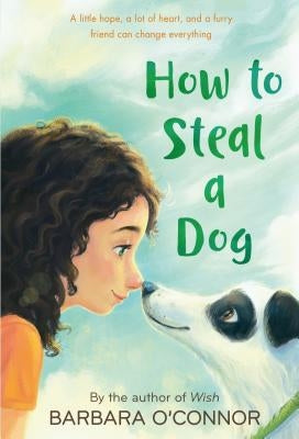 How to Steal a Dog Paperback Square Fish
