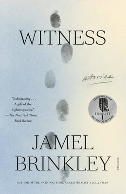 Paperback of Witness: Stories by Picador USA, featuring a close-up of the book cover with bold title text.