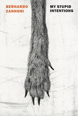 Paperback of "My Stupid Intentions" by New York Review of Books featuring a cover with abstract artwork and title text.