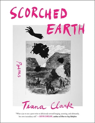 Scorched Earth: Poems Paperback Washington Square Press