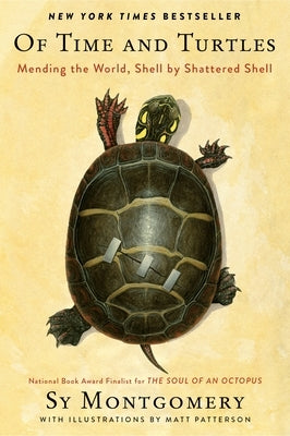 Of Time and Turtles: Mending the World, Shell by Shattered Shell Paperback Mariner Books