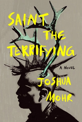 Saint the Terrifying Paperback Unnamed Press