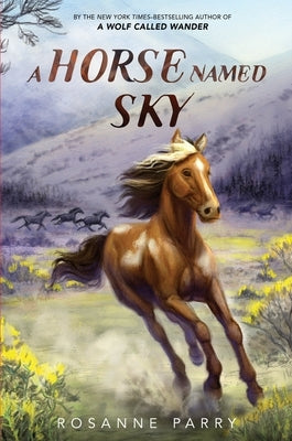 Paperback book titled "A Horse Named Sky" by Greenwillow Books, featuring a cover illustration of a horse and a sky scene.
