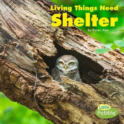 Living Things Need Shelter Paperback Pebble Books