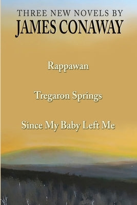 Three Short Novels: Rappawan, Tregaron Springs, Since My Baby Left Me Paperback Darling Thunder Press