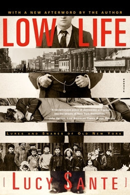 Low Life: Lures and Snares of Old New York Paperback Farrar, Straus and Giroux