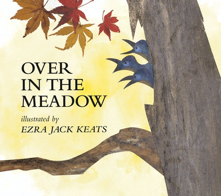 Paperback of Over in the Meadow storybook by Puffin Books, featuring colorful illustrated cover with meadow scene and children.