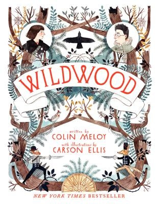 Wildwood Paperback Storytide