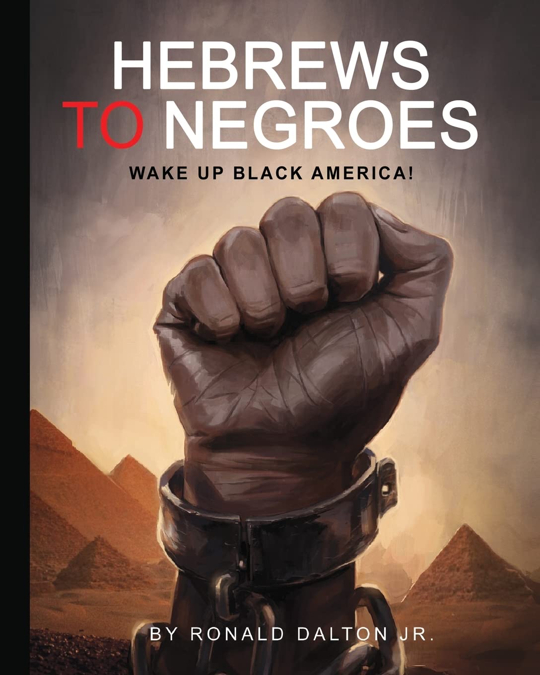 Hebrews to Negroes: Wake Up Black America! SureShot Books Publishing LLC