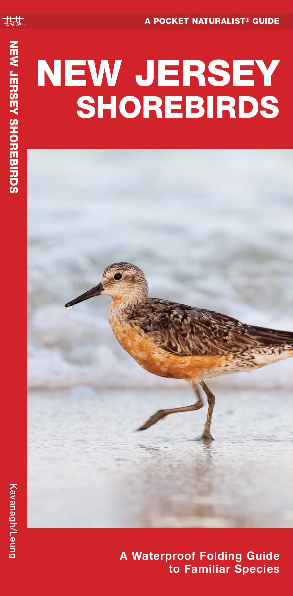 New Jersey Shorebirds: A Waterproof Folding Guide to Familiar Species SureShot Books Publishing LLC