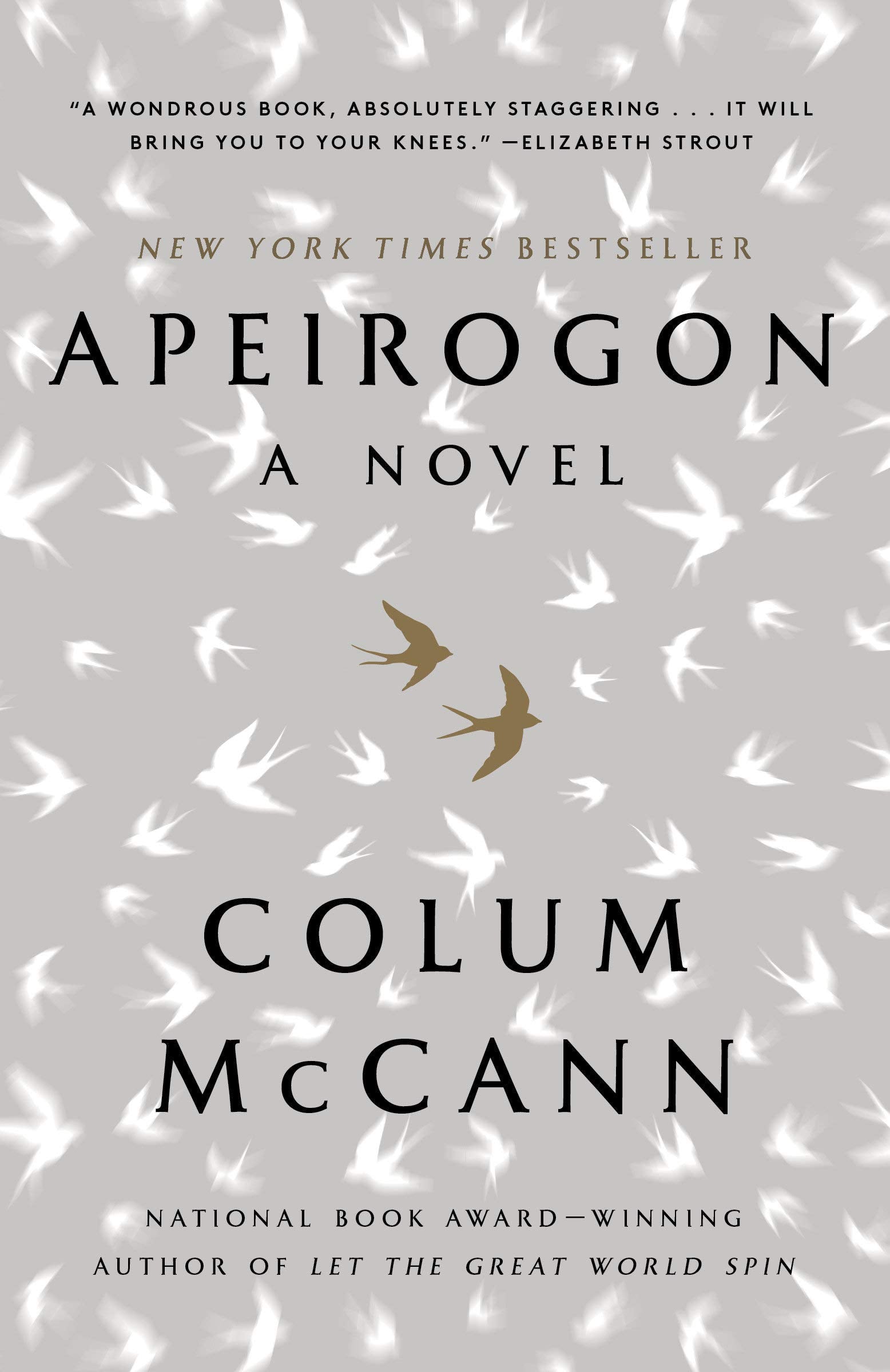 Apeirogon: A Novel SureShot Books Publishing LLC