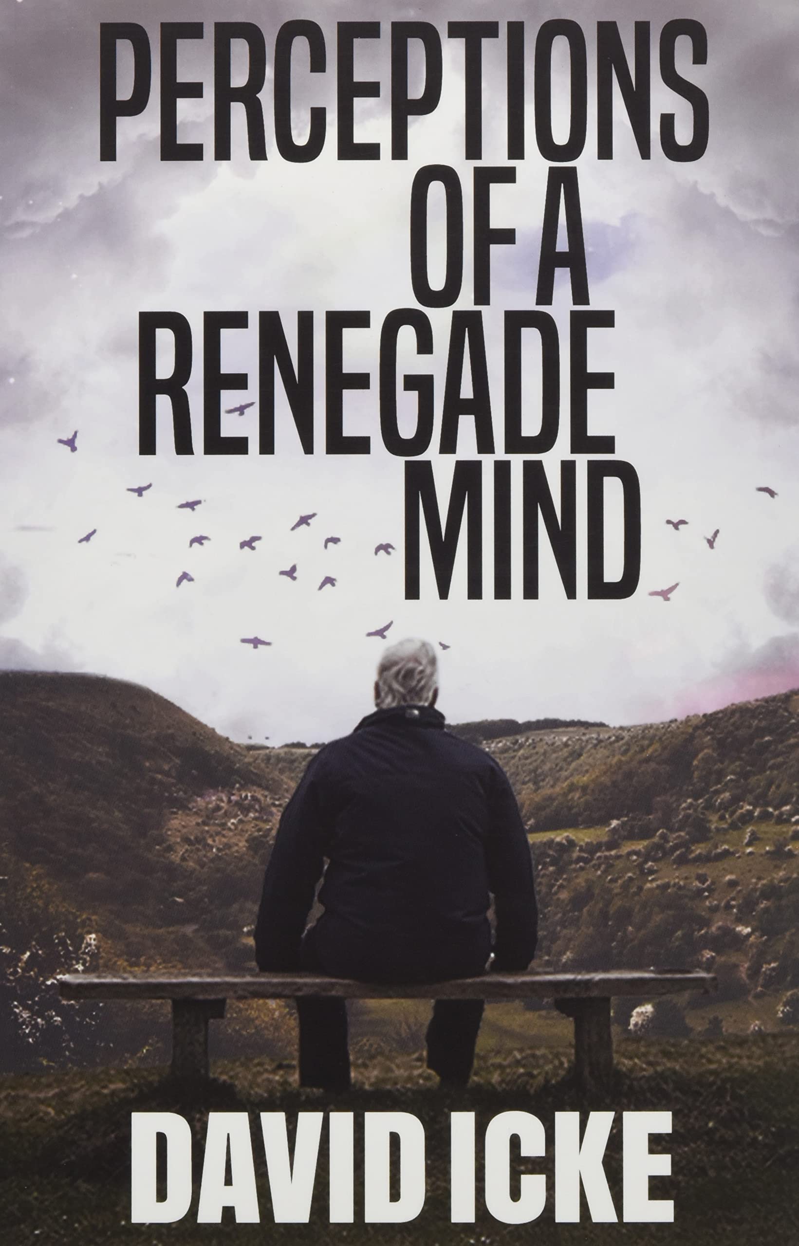 Perceptions of a Renegade Mind SureShot Books Publishing LLC