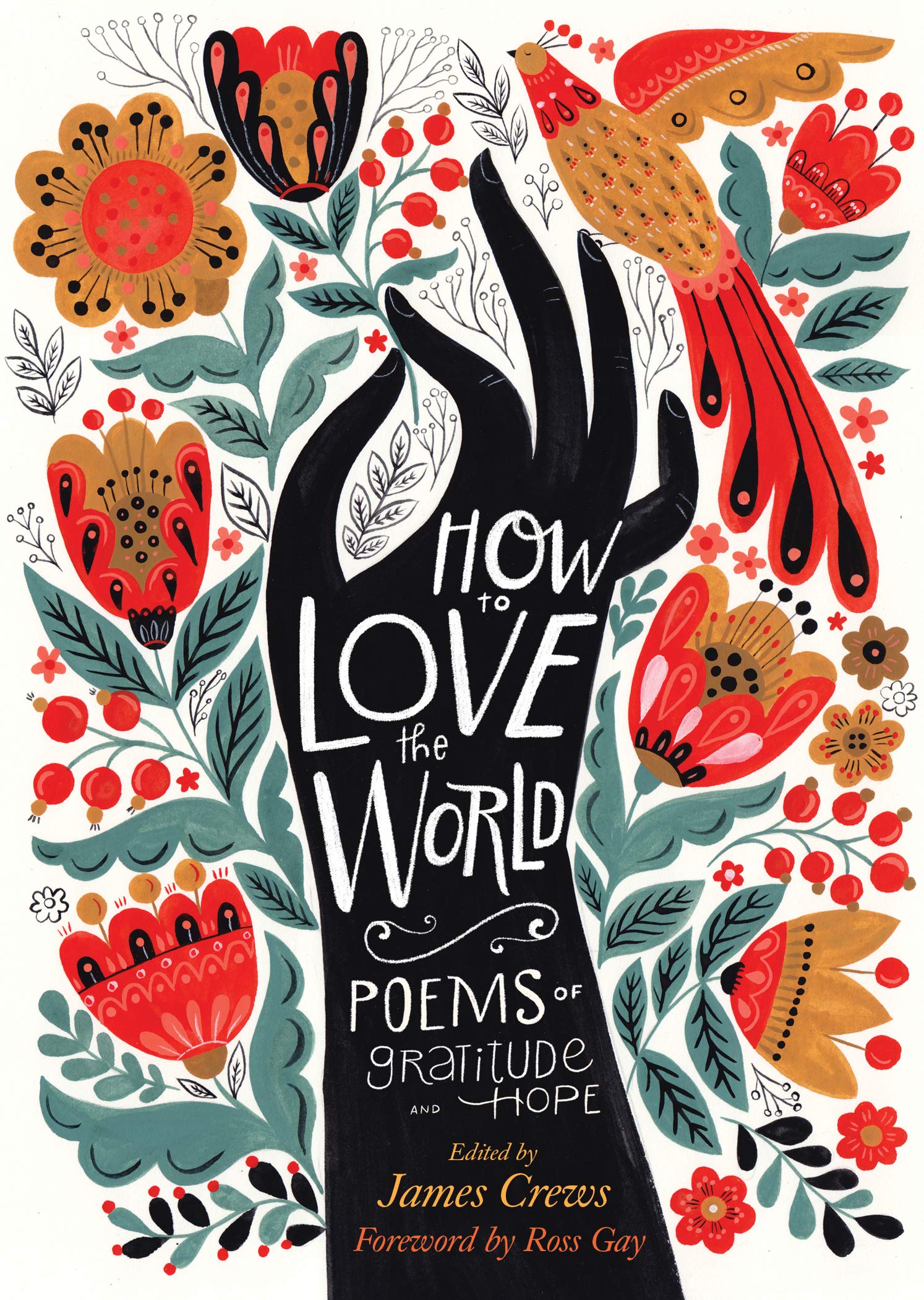 How to Love the World: Poems of Gratitude and Hope Literature & Fiction James Crews | Dinara Mirtalipova