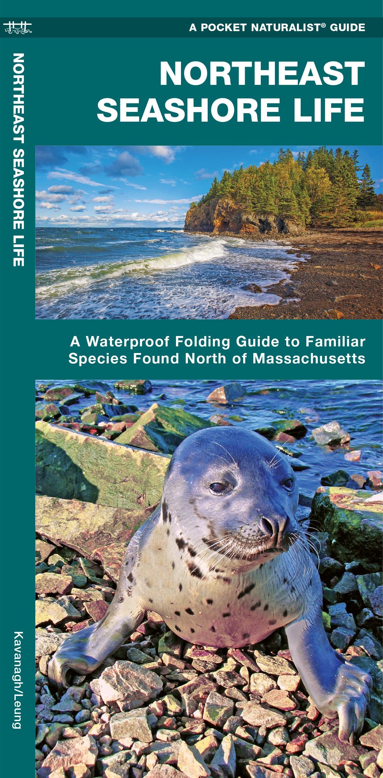 Northeast Seashore Life: A Waterproof Folding Guide to Familiar Animals & Plants North of Massachusetts SureShot Books Publishing LLC