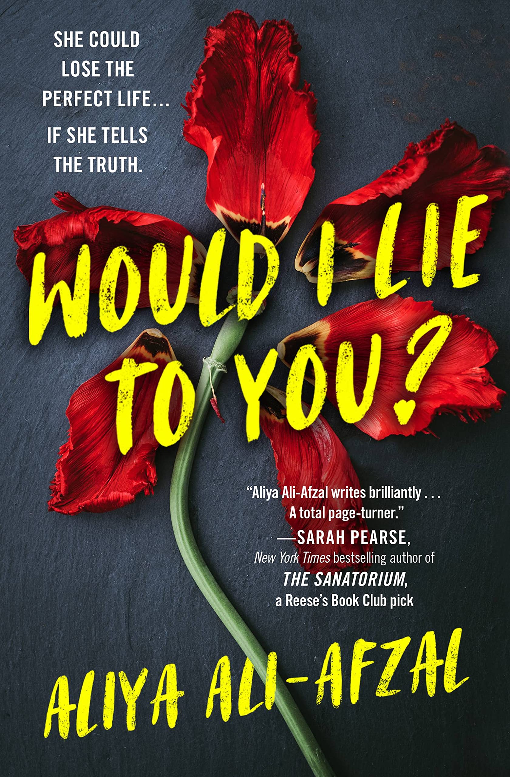 Would I Lie to You? Paperback Ali-Afzal, Aliya