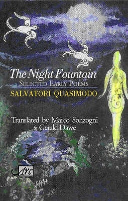Cover image of The Night Fountain paperback by ARC Publications, featuring artwork and title on the book cover.