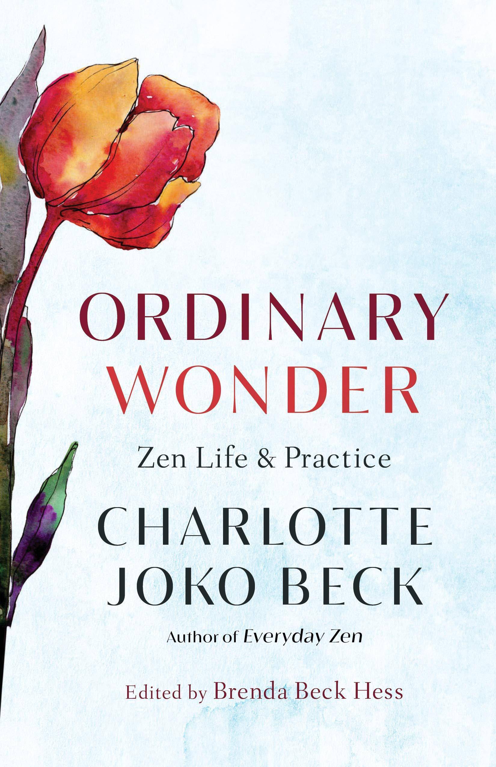 Ordinary Wonder: Zen Life and Practice Religion & Spirituality Charlotte Joko Beck