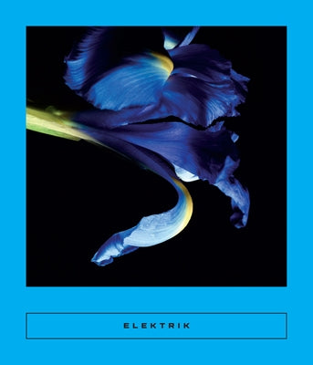 Elektrik: Caribbean Writing Paperback Two Lines Press