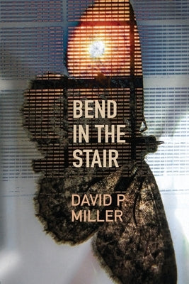 Bend in the Stair Paperback Lily Poetry Review