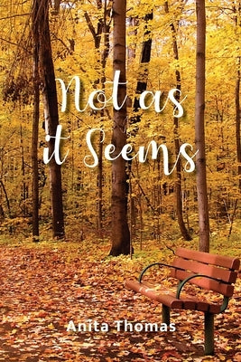 Not as it Seems Paperback Trilogy Christian Publishing