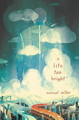 A Lite Too Bright Paperback Katherine Tegen Books
