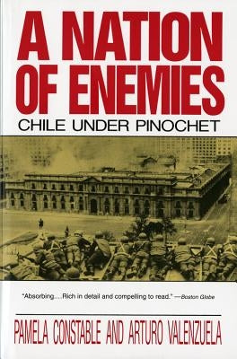 A Nation of Enemies: Chile Under Pinochet Paperback W. W. Norton & Company