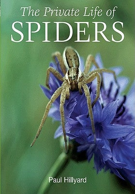 The Private Life of Spiders Paperback Princeton University Press