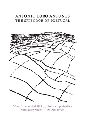 The Splendor of Portugal Paperback Dalkey Archive Press