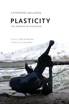 Plasticity: The Promise of Explosion Paperback Edinburgh University Press