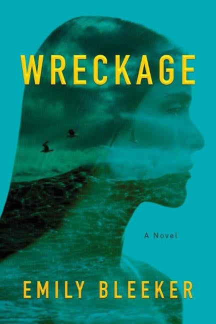 Wreckage Paperback Lake Union Publishing