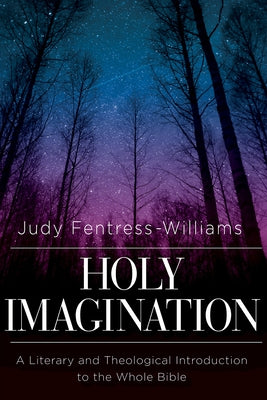 Holy Imagination: A Literary and Theological Introduction to the Whole Bible Paperback Abingdon Press