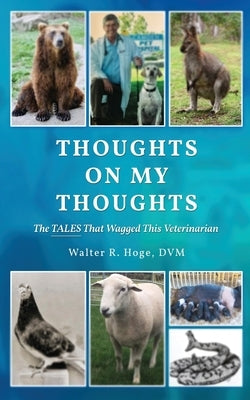 Thoughts On My Thoughts Paperback Readersmagnet LLC