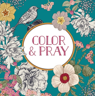 Paperback Color & Pray keepsake coloring book by New Seasons featuring religious-themed illustrations for mindfulness and creativity.