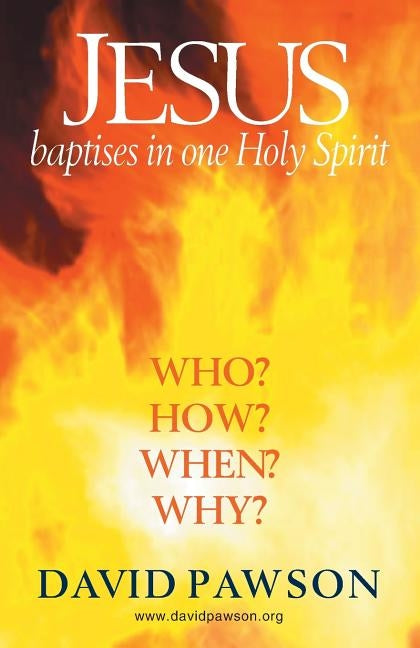 Jesus Baptises in one Holy Spirit Paperback Anchor Recordings Ltd