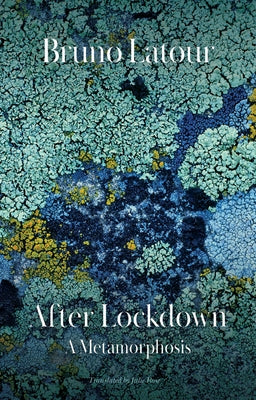 After Lockdown: A Metamorphosis Paperback Polity Press