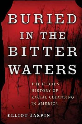 Buried in the Bitter Waters: The Hidden History of Racial Cleansing in America Paperback Basic Books